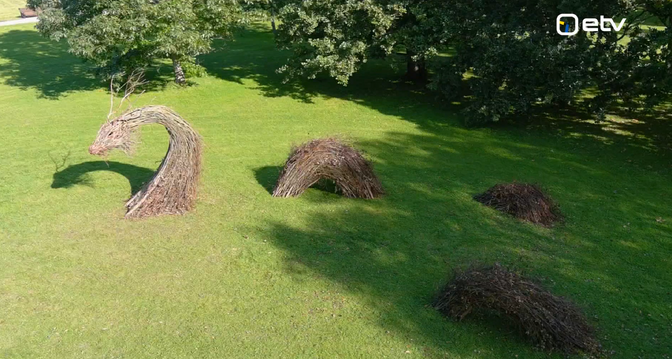 Pärnu rannapargis saab näha okstest valmistatud skulptuuri | Eesti