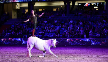 Tallinn International Horse Show toob kokku regiooni ratsaspordi paremiku | Ratsasport