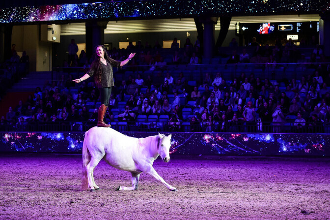 Tallinn International Horse Show toob kokku regiooni ratsaspordi paremiku | Ratsasport
