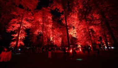 FOTOD | Tõeline vaatemäng! Kadrioru valgusfestivali avapäev meelitas parki suure rahvahulga