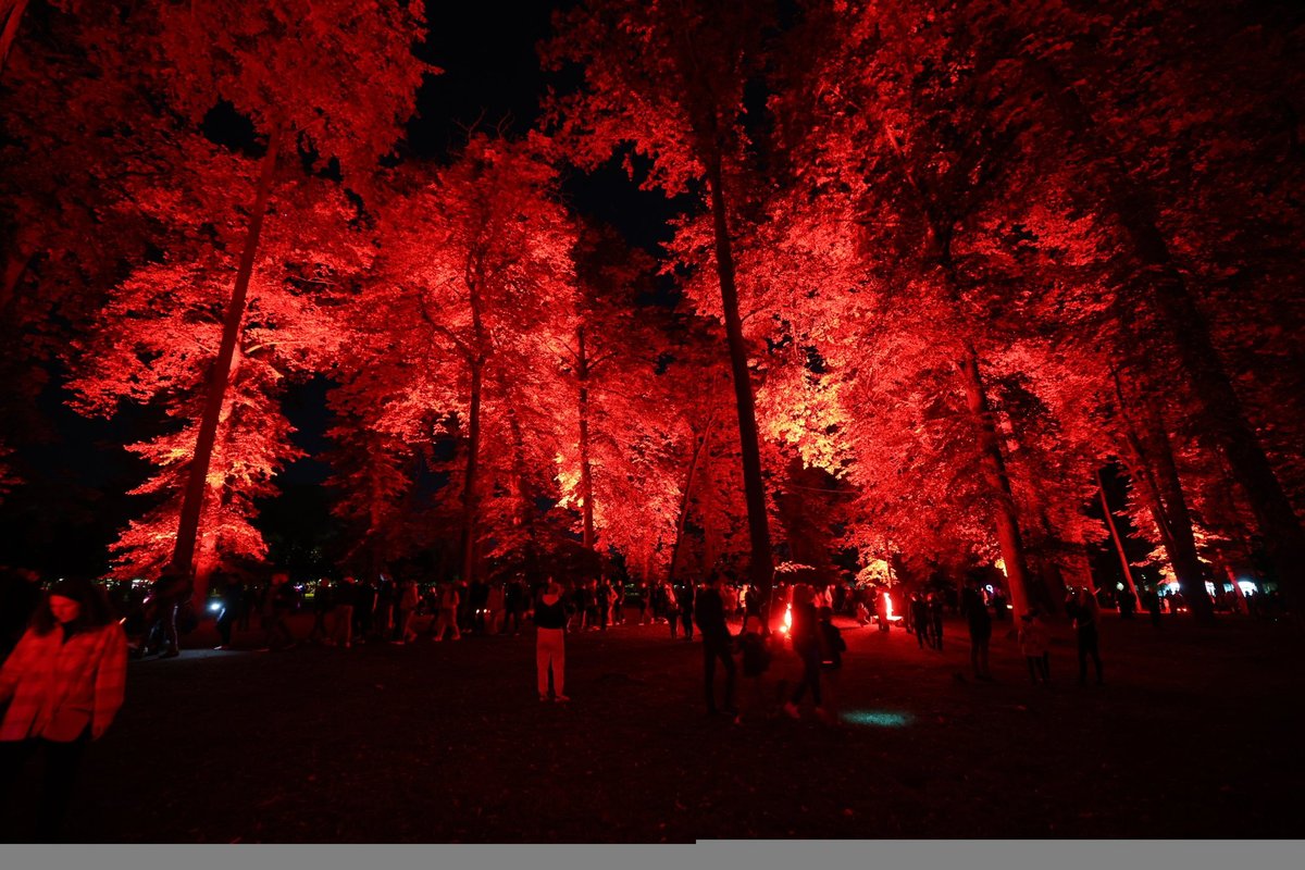 FOTOD | Tõeline vaatemäng! Kadrioru valgusfestivali avapäev meelitas parki suure rahvahulga