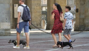 Itaalia turismilinn kehtestab külaskäivatele koertele maksu