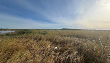 Pärnumaa looduskaitsealalt leiti võõra riigi drooni tükk