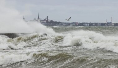 Hoiatus: kogu Eesti on pühapäeval tugevate tuulte meelevallas - Postimees