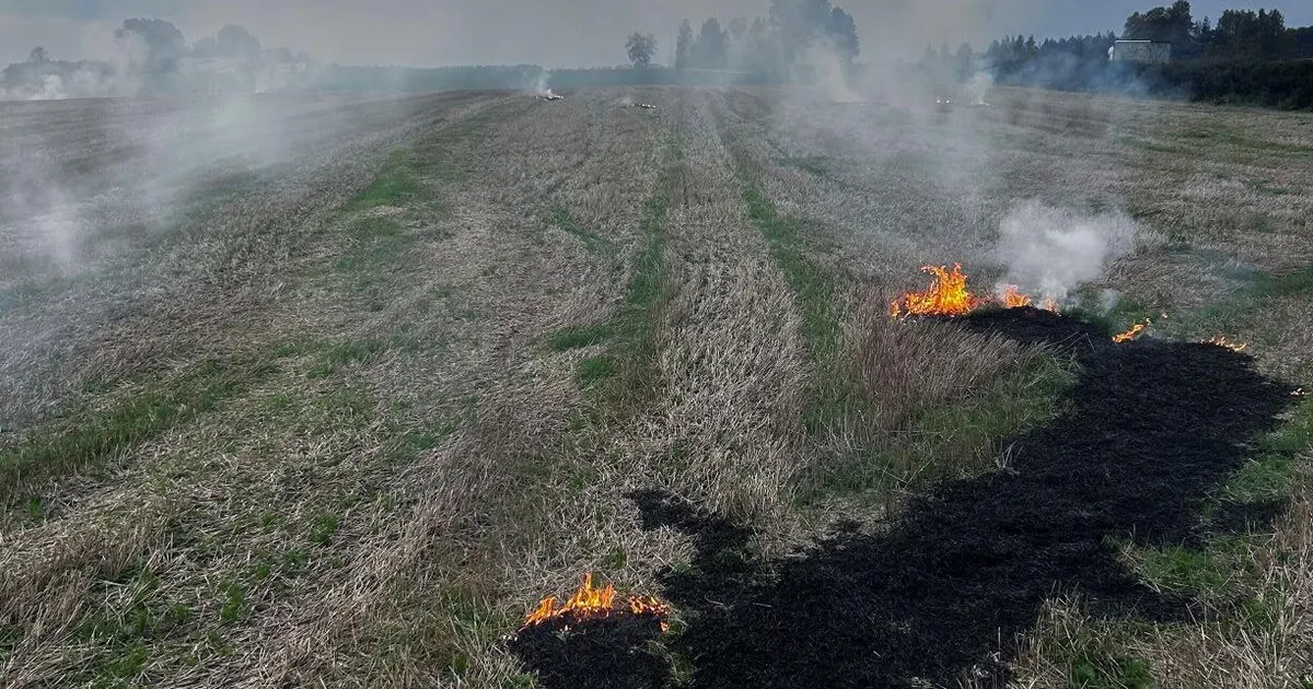 Traktorist pani põllu 25 kohast põlema ega teinud päästjatega koostööd