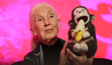 IN MEMORIAM ⟩ Lahkus maailma muutnud loodusteadlane. Jane Goodall 3. aprill 1934 – 1. oktoober 2025