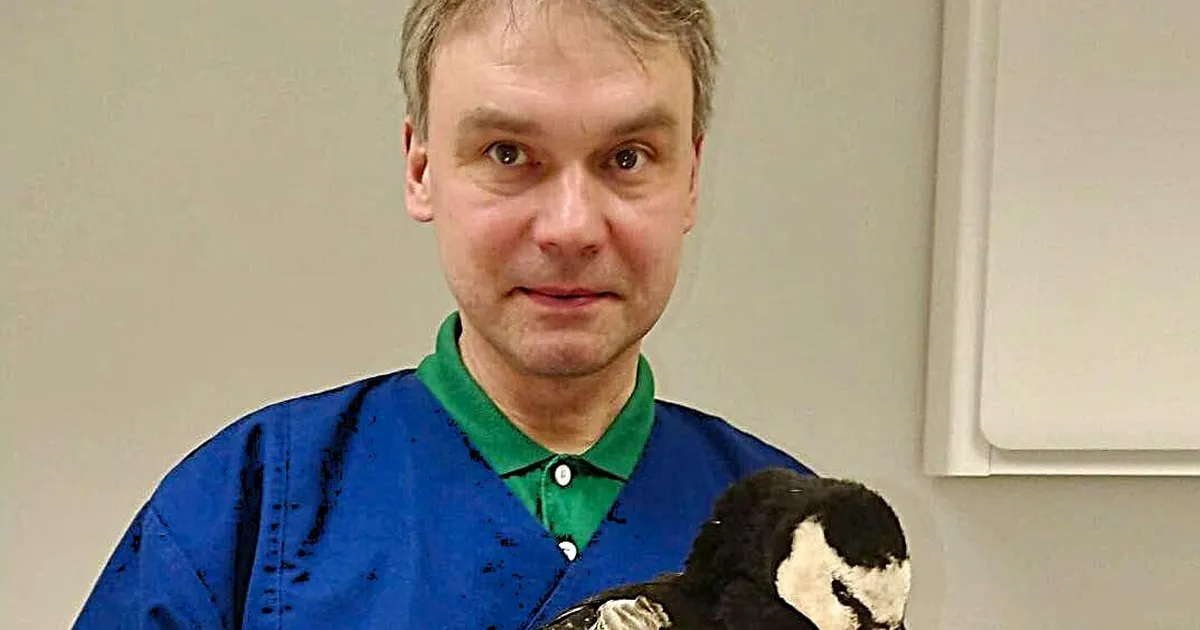 lootus on jõud, mis ei lase seda teekonda pooleli jätta