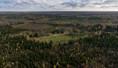 Kõrges palavikus eakas naine lahkus öö hakul kodunt ja kadus