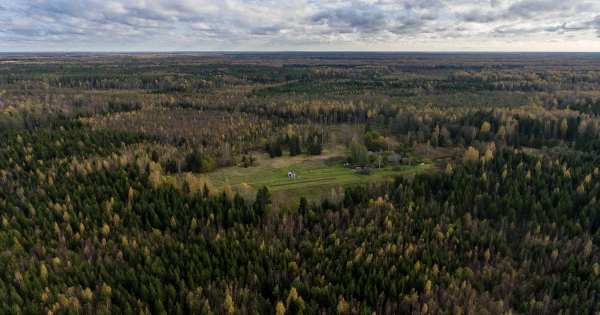 Kõrges palavikus eakas naine lahkus öö hakul kodunt ja kadus