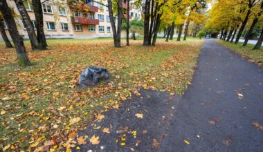 Miks viis linn minema kaasava eelarve raames Jalaka tänavale paigaldatud pingi?