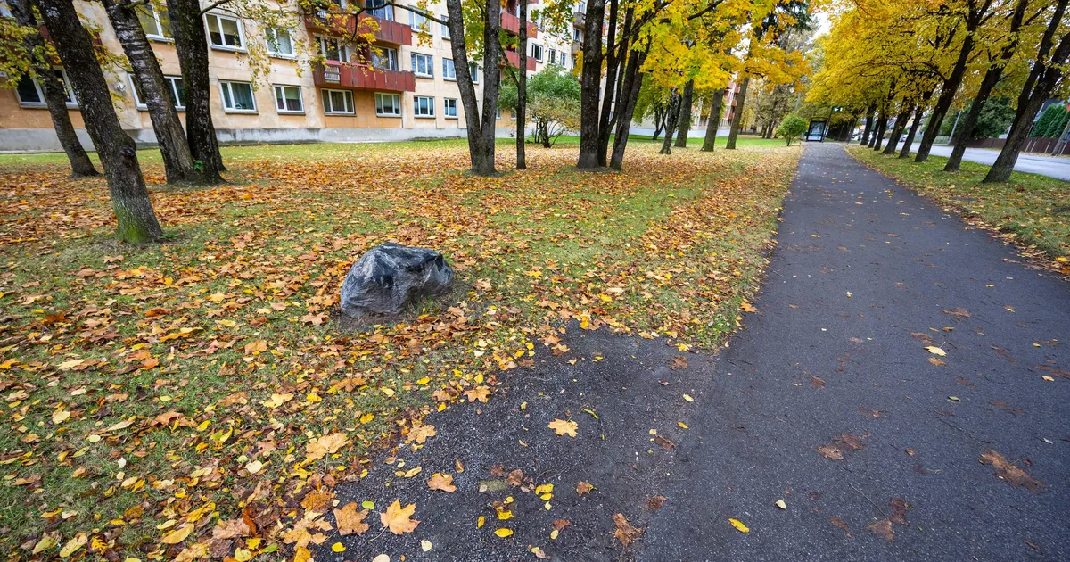 Miks viis linn minema kaasava eelarve raames Jalaka tänavale paigaldatud pingi?
