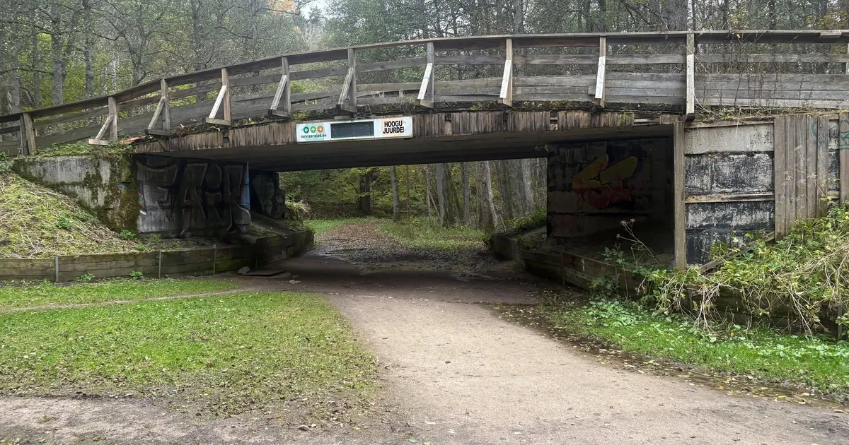 Lagunev Nõmme suusasild asendatakse tänapäevase terassillaga