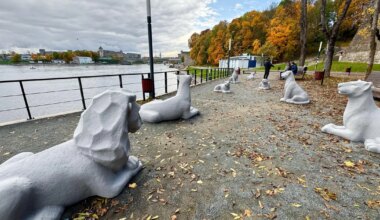 Narva lõvid on pärast restaureerimist kodus tagasi