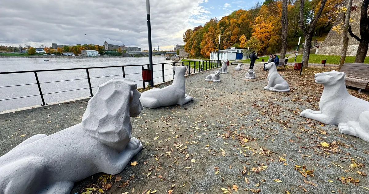 Narva lõvid on pärast restaureerimist kodus tagasi