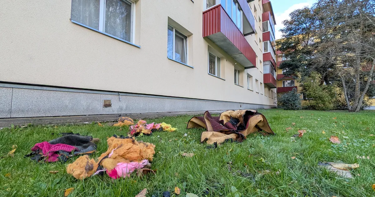 Jõhvis hukkus korteripõlengus vanem naine