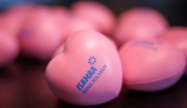 «Mis juraga me tegeleme?» Poliitreklaami määrus on poliitikute arvates ebamõistlik