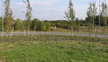 «MU POJA PÄÄSTMISE LUGU!» ⟩ Tartlanna tänab südamest inimest, kes eksinud lapse koju aitas