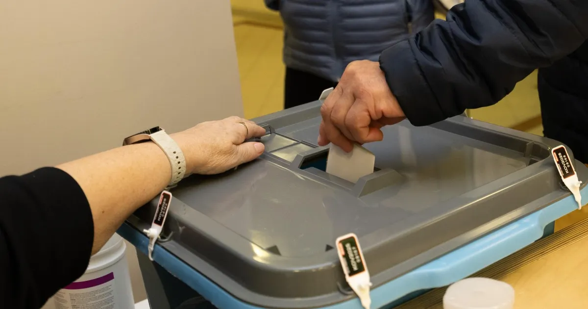 Viljandi vallas põhjustas kandidaadist vaatleja elevust, mujal möödusid valimised täiesti rahulikult