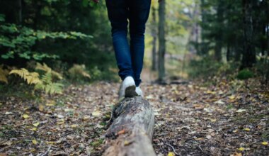 EKSPERDID PALJASTAVAD ⟩ Just see hoiab immuunsüsteemi tugevana