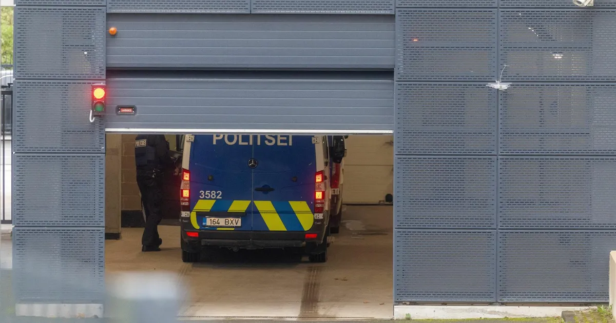 Kohus võttis tapmises kahtlustatavad alaealised vahi alla