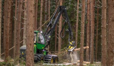 METSASEADUSE MUUDATUSED ⟩ Lageraielangi ala väheneb, trahvid kasvavad, istandikud lubatud