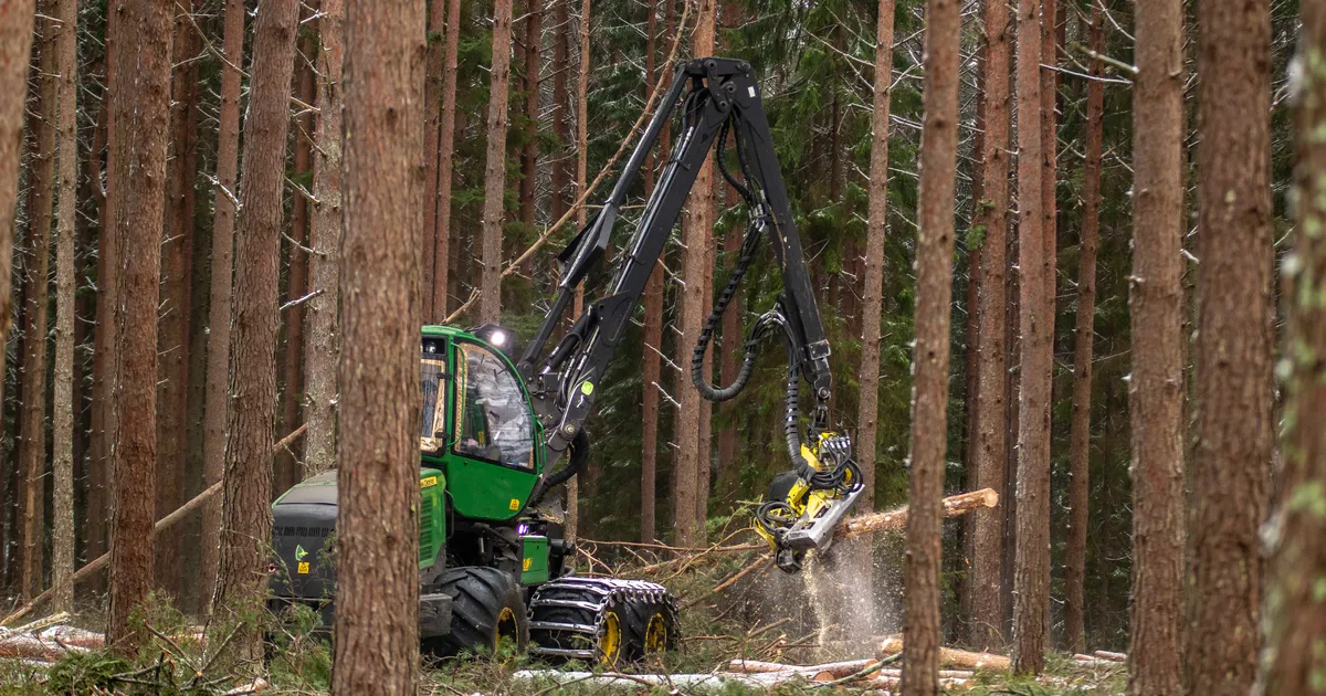 METSASEADUSE MUUDATUSED ⟩ Lageraielangi ala väheneb, trahvid kasvavad, istandikud lubatud