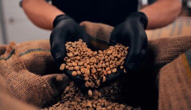 SAHINAD ⟩ Legendaarne Soome kohvibränd astus kummalise sammu