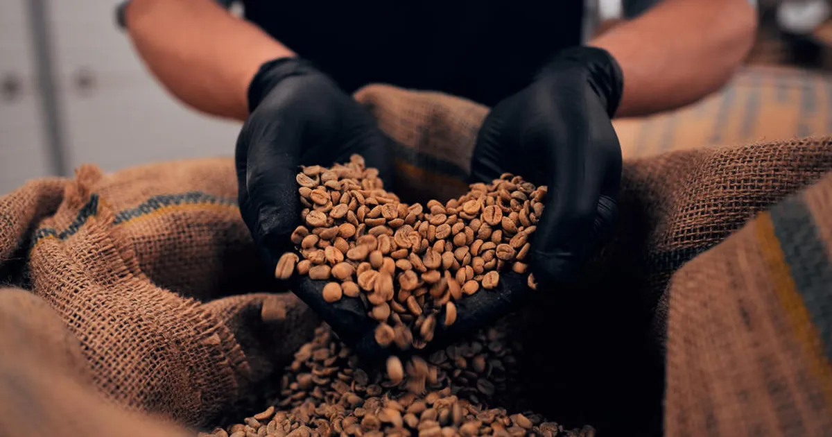 SAHINAD ⟩ Legendaarne Soome kohvibränd astus kummalise sammu