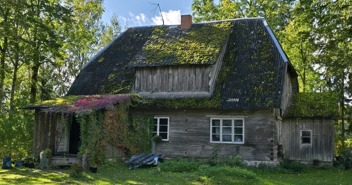 maaklerid räägivad oma kõige müstilisematest kogemustest