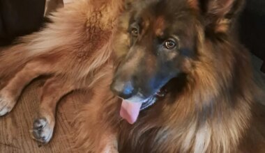 VALIMISED ⟩ Mis nimega kandidaate oli kõige rohkem?