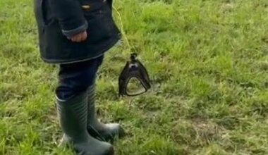 KENTSAKAS ⟩ Videod! Levimas on trend jalutada ja teha trikke kujuteldava koeraga