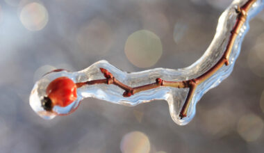 Sügisene koolivaheaeg tuleb Soomes külm