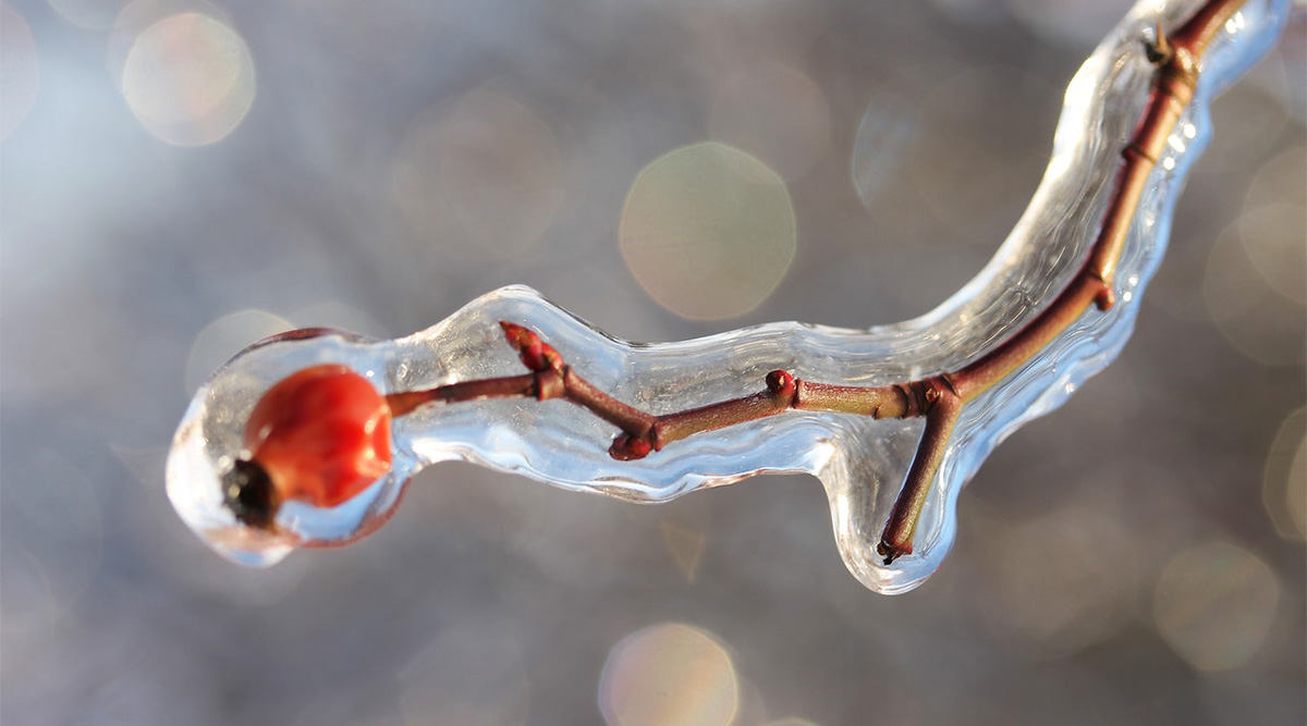 Sügisene koolivaheaeg tuleb Soomes külm