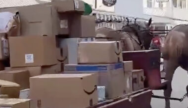 VIDEO: USA-s veetakse Amazoni pakke kohale hobustega