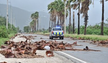 Orkaan Melissa tõi Jamaicale katastroofilisi tuuli ja üleujutusi
