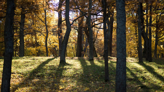 Keskkonnasotsioloog: linnaparkide kasutus peegeldab ühiskonda laiemalt | Keskkond