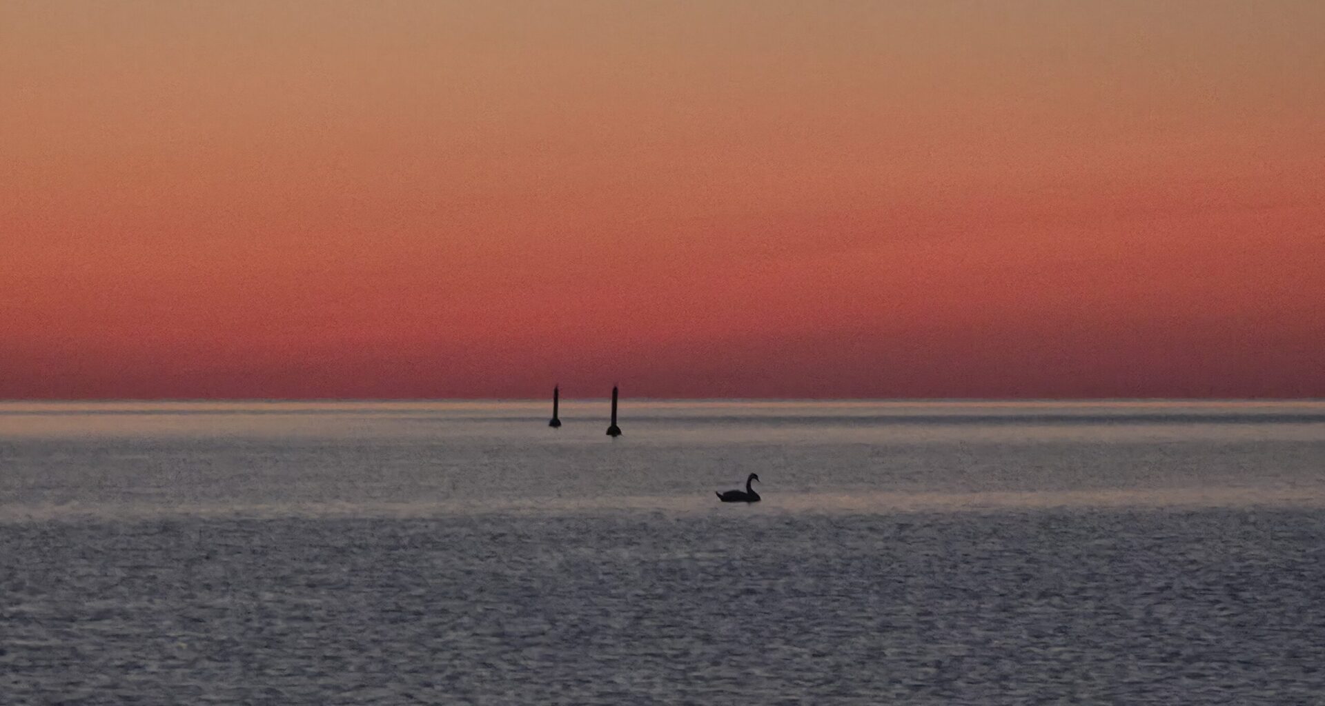 ILUSAD EESTI NIMED | Selgusid aasta parimad eestikeelsed ettevõttenimed