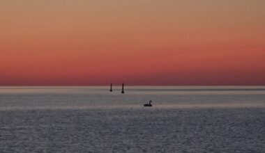 ILUSAD EESTI NIMED | Selgusid aasta parimad eestikeelsed ettevõttenimed