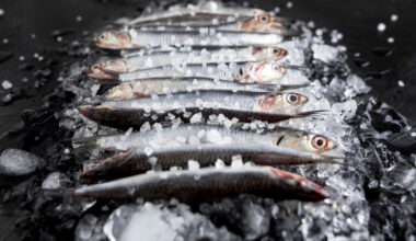 Eesti tohib Läänemerel oluliselt rohkem kilu ja räime püüda