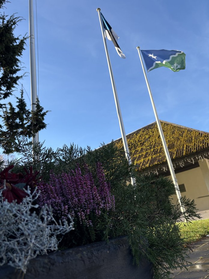 Lipud valimisjaoskonna ees.