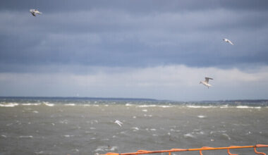 Nädalavahetus tuleb tugeva tuulega | ilm