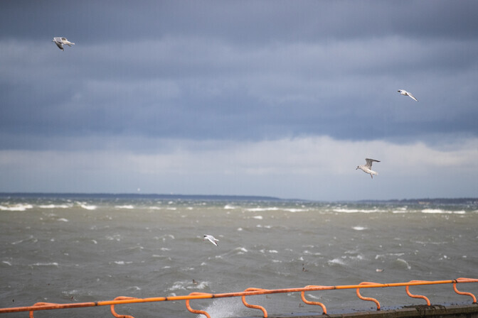 Nädalavahetus tuleb tugeva tuulega | ilm