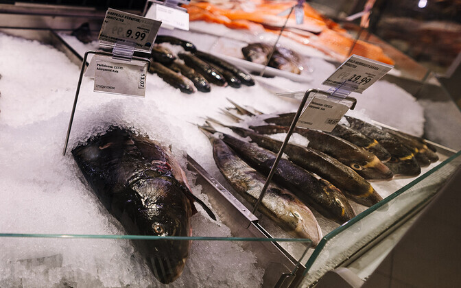 Kala sööma innustavat kampaaniat tahab korraldada 13 pakkujat | Eesti