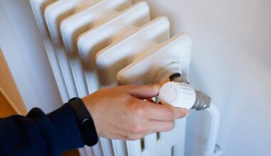 Tänavusel talvel kujuneb toasoe mullusest soodsamaks | Majandus