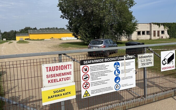 Põllumajandus- ja toiduamet lõpetas loomataudi hädaolukorra | Eesti