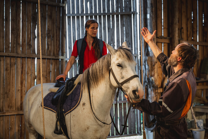 "Ringvaade" külastas Eesti ainsat näitlevat hobust | Ringvaade