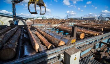 Järgmine suurettevõte koondab juhte. Stora Enso: kohaneme keeruliste aegadega