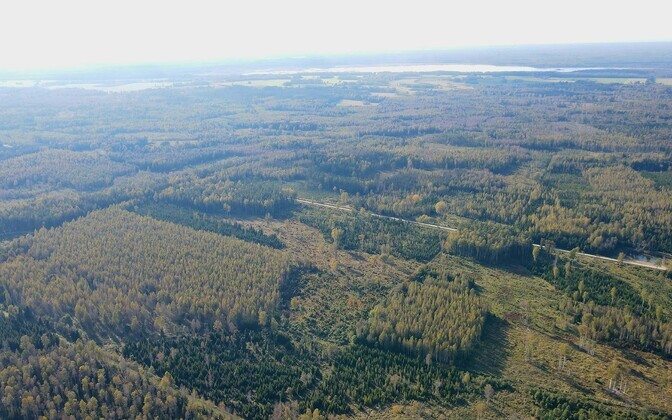 Vabaühendused kaebasid Pärnu kaitsetööstuspargi plaani kohtusse | Eesti