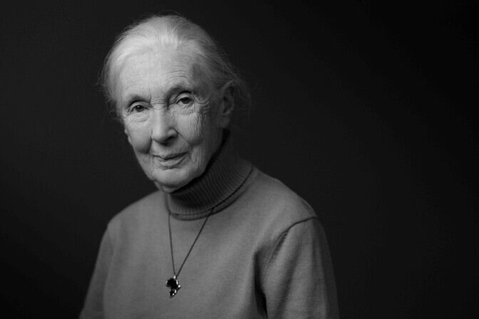 Primatoloog Jane Goodall suri 91-aastasena | Teaduselu