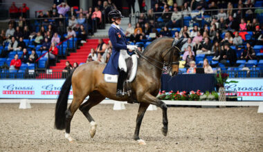 Horse Show koolisõidu MK-etapi võitis rootslanna | Ratsasport